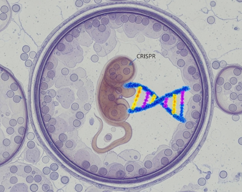 le-10-scoperte-scientifiche-pi-strabilianti-del-decennio