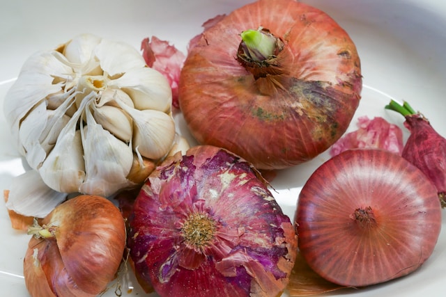 5-alimenti-che-fanno-male-al-tuo-cane