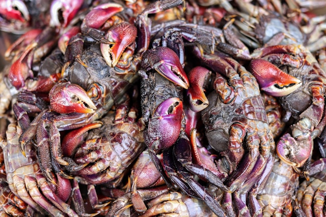 5-cibi-contaminati-al-supermercato